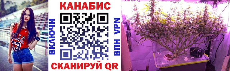 цена   Алагир  Бошки Шишки VHQ 